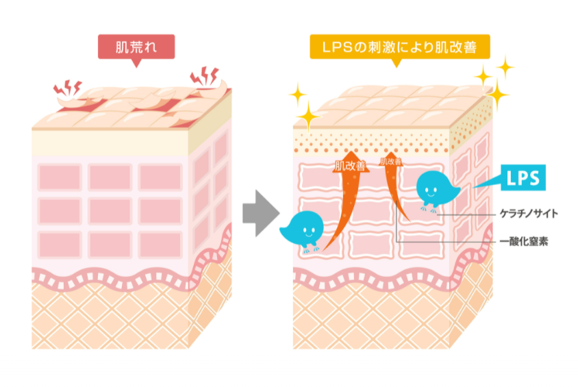 人胎盤脂多糖能美容嗎為什麼口服drlps可以從內到外美容延緩衰老