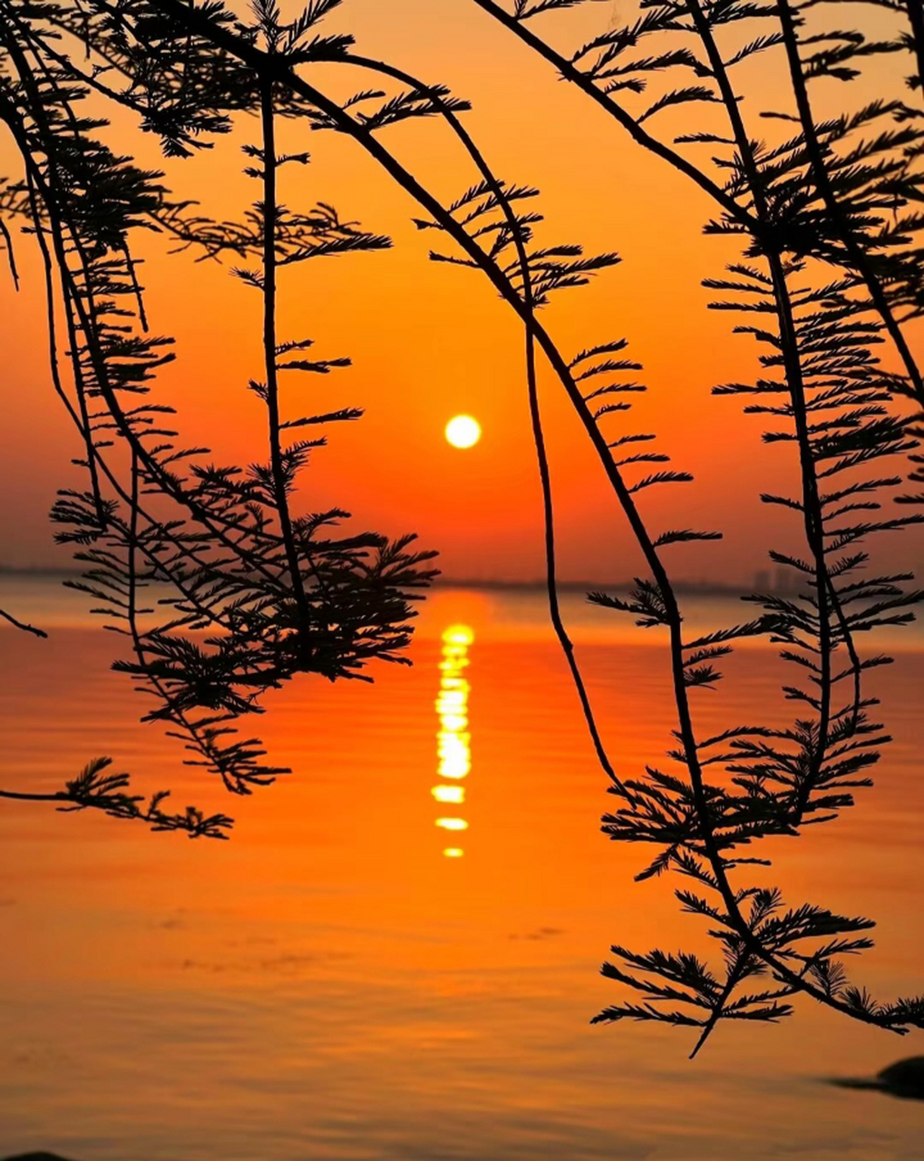 读书的好处,当你看到这些风景时,你会怎么说?