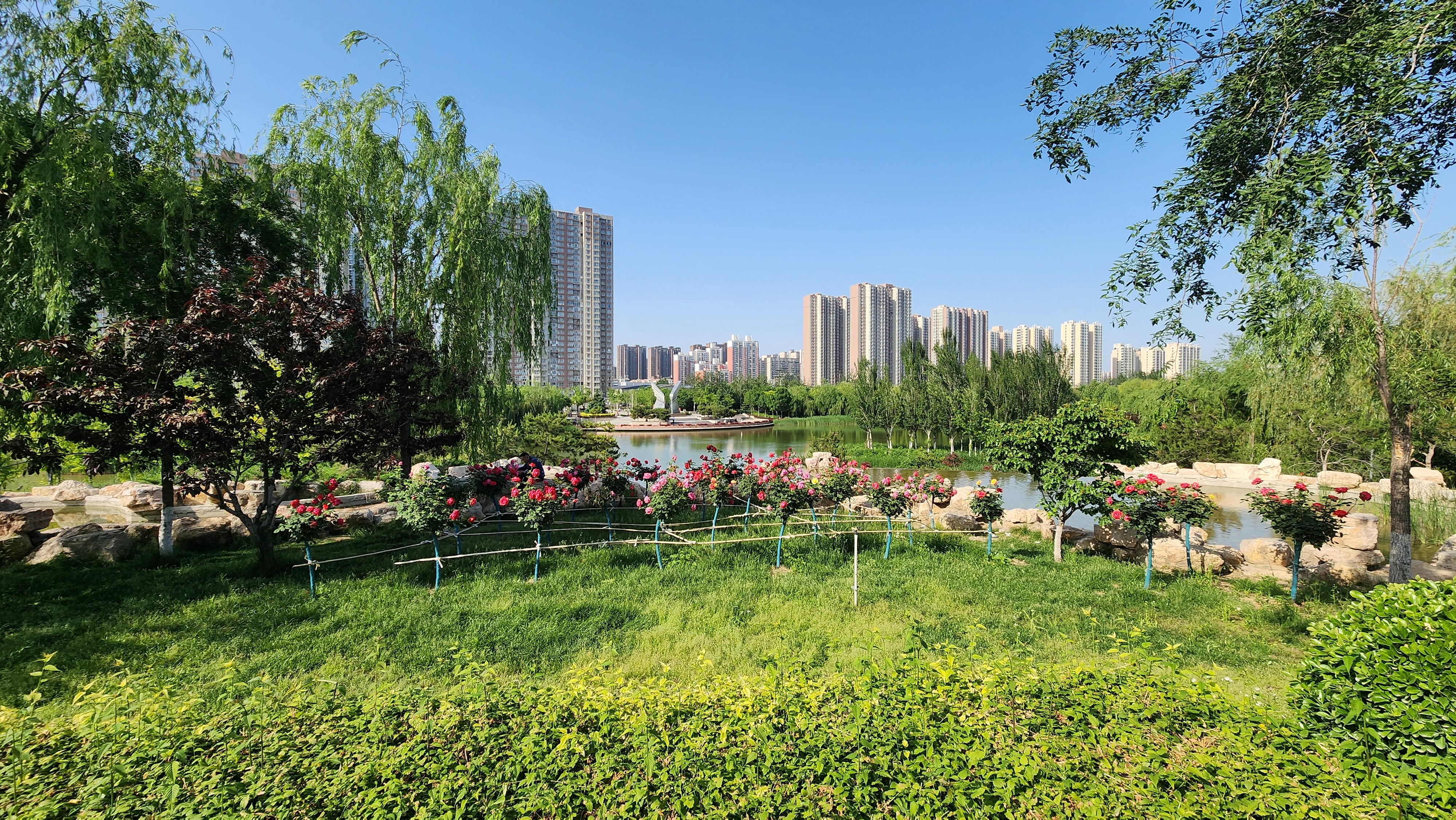 石家庄市西环公园