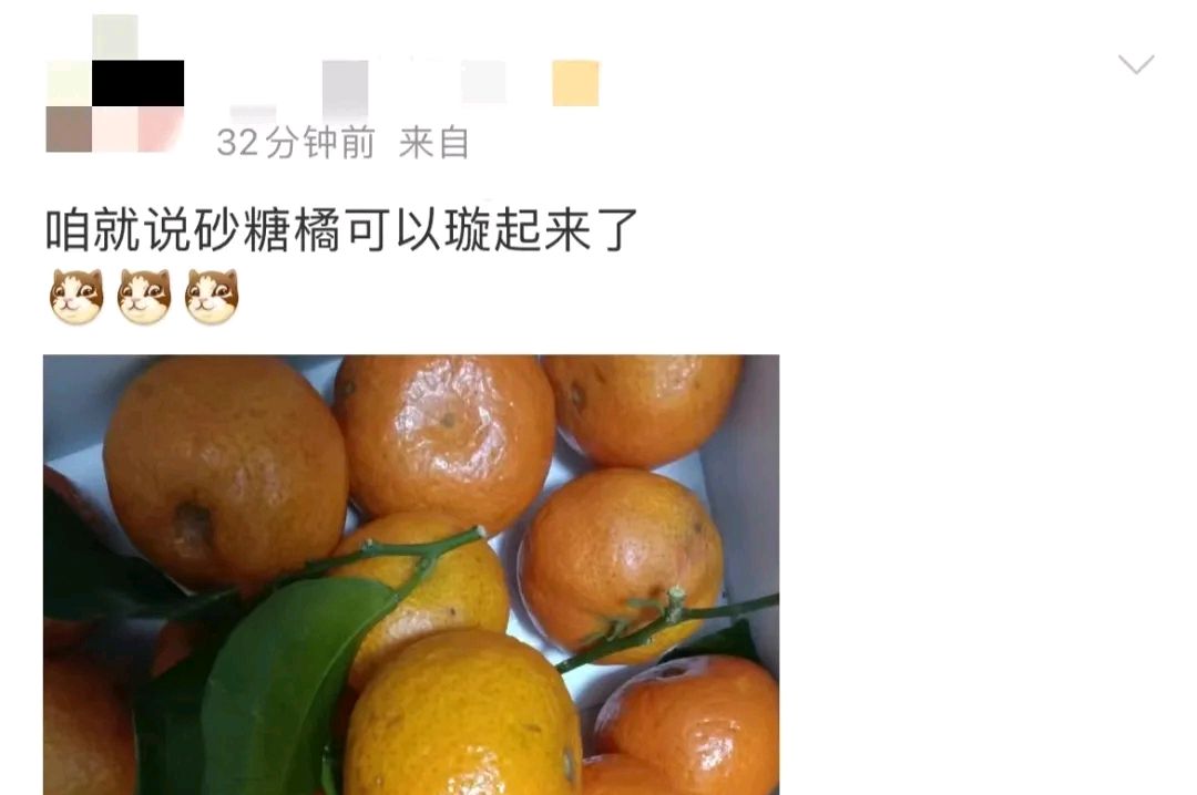 震惊体:吃光砂糖橘被妈妈揍进急诊