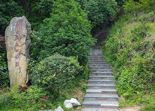 宁波最美丽的登山步道,15条不同的路线,一起看看吧!