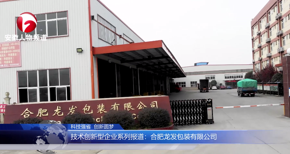 合肥龙发包装有限公司:打造高标准包装行业标杆