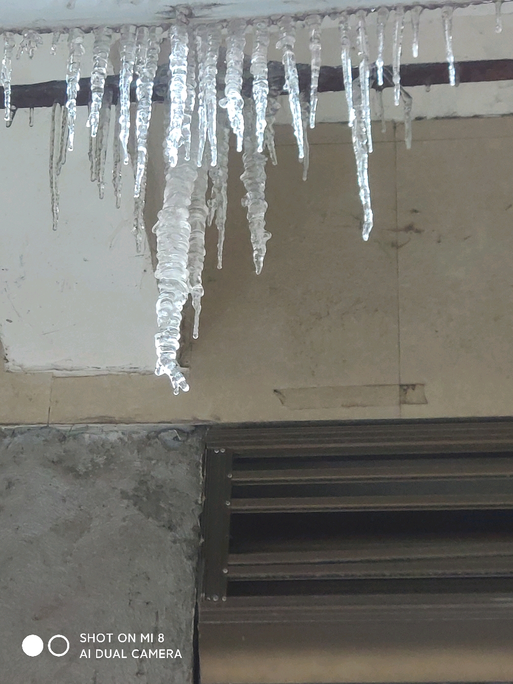 小时候,这些流冰顺着房檐滴下来,很是晶莹剔透.要说最漂亮的,当属茅