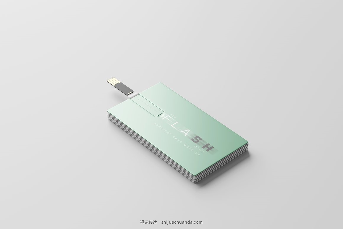 USB Flash Drive Business Card Mockup-11.jpg