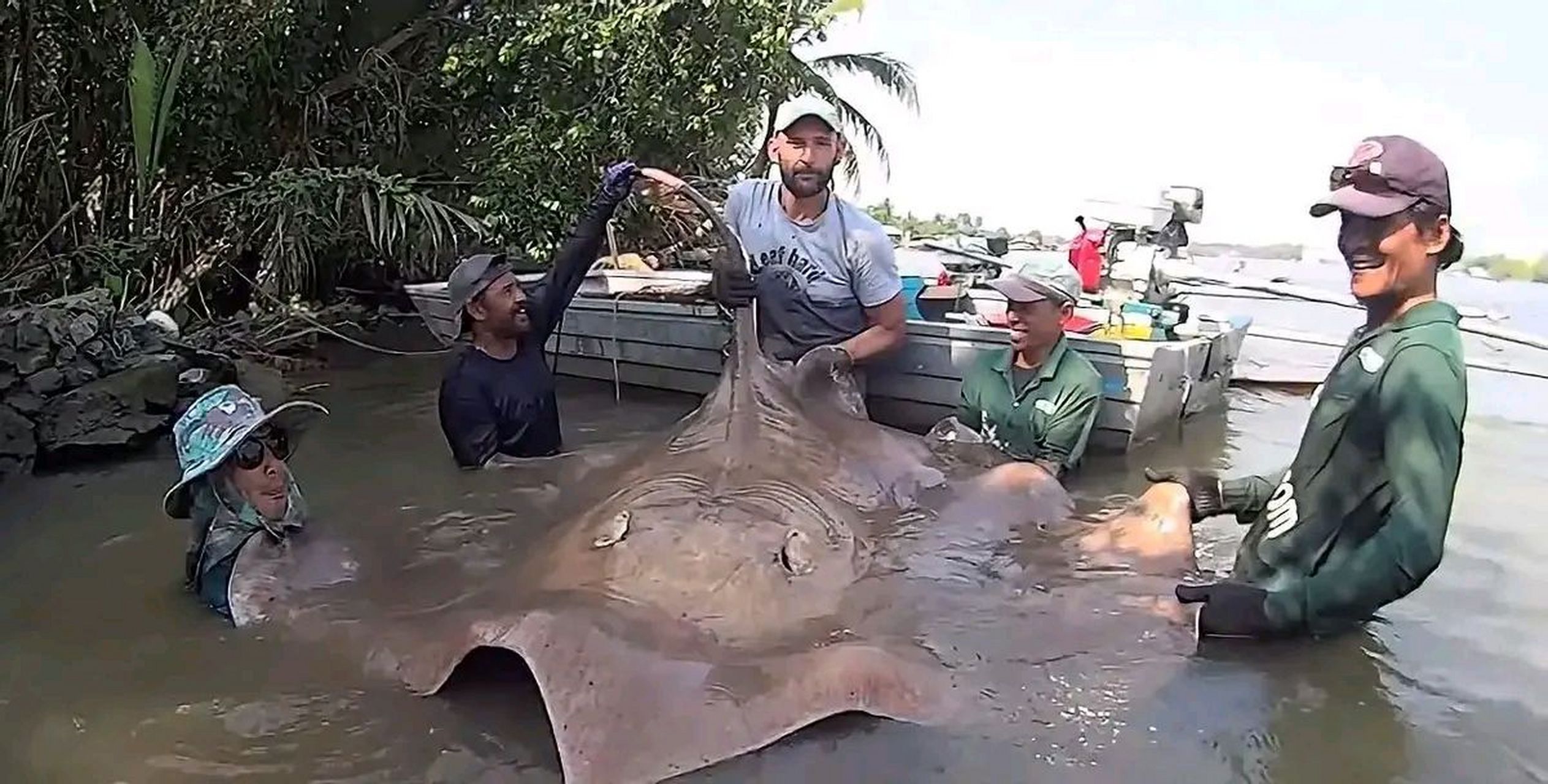 2006年,有着几十年野外生存经验,被称为"鳄鱼先生"的史蒂夫·欧文,在