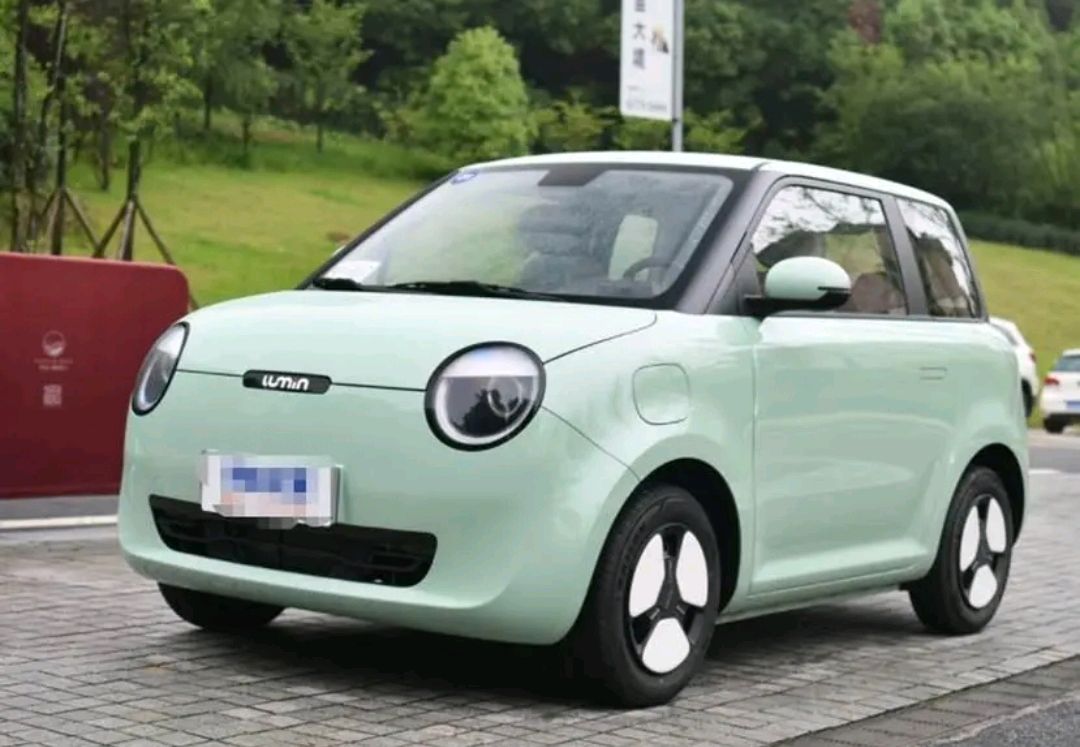 令人眼花缭乱的双门微型电动车