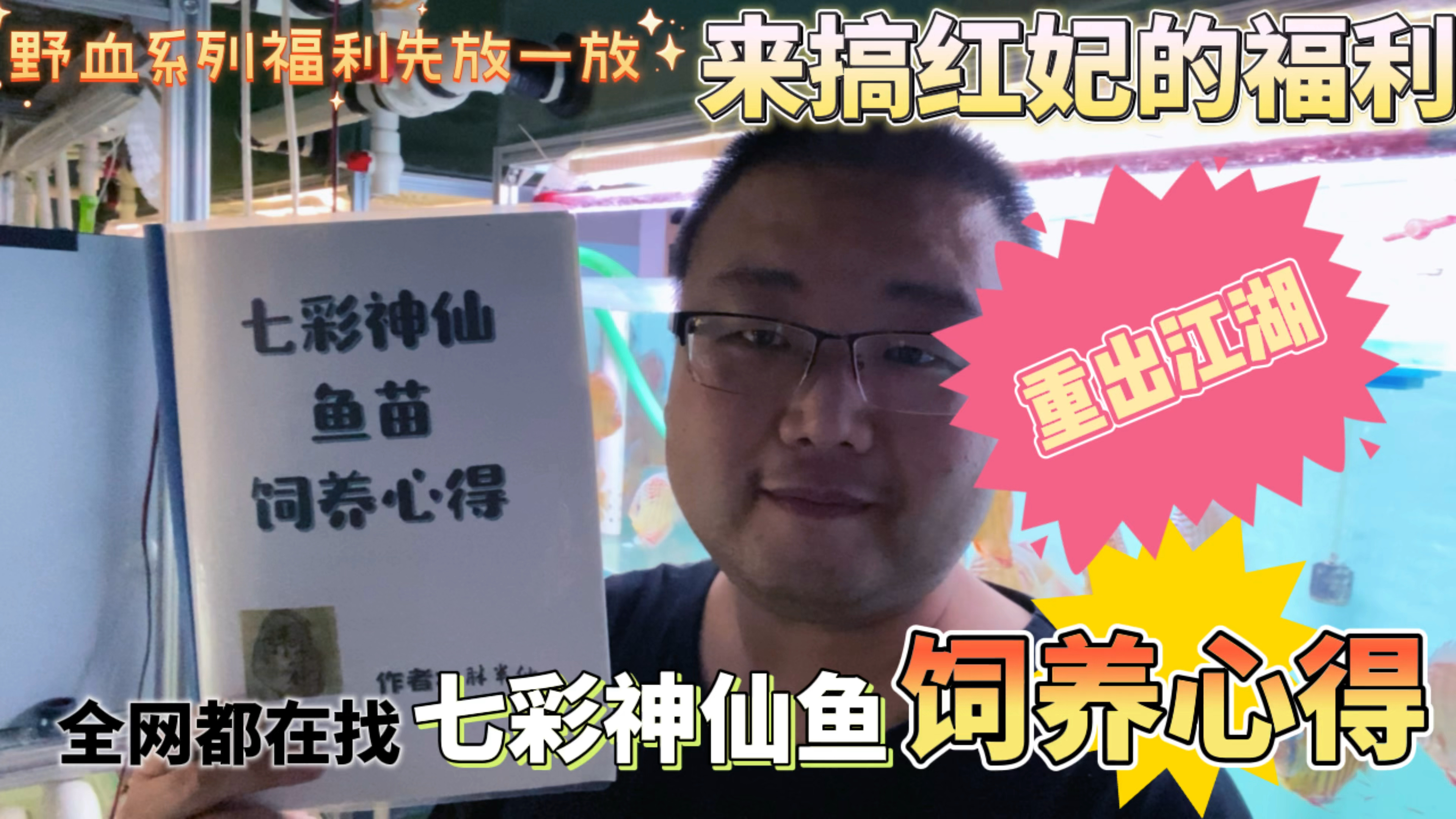 野血福利告一段落,红妃福利搞起来,送七彩神仙鱼苗饲养心得