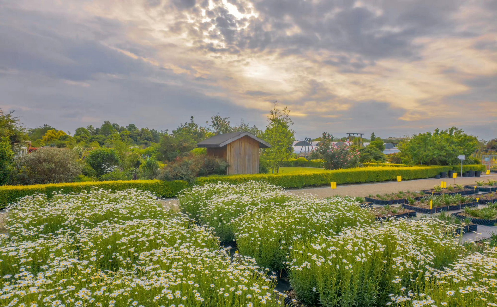 这是之前,我们航拍视角下的花园和基地,新的一年开始,真是期待它的新