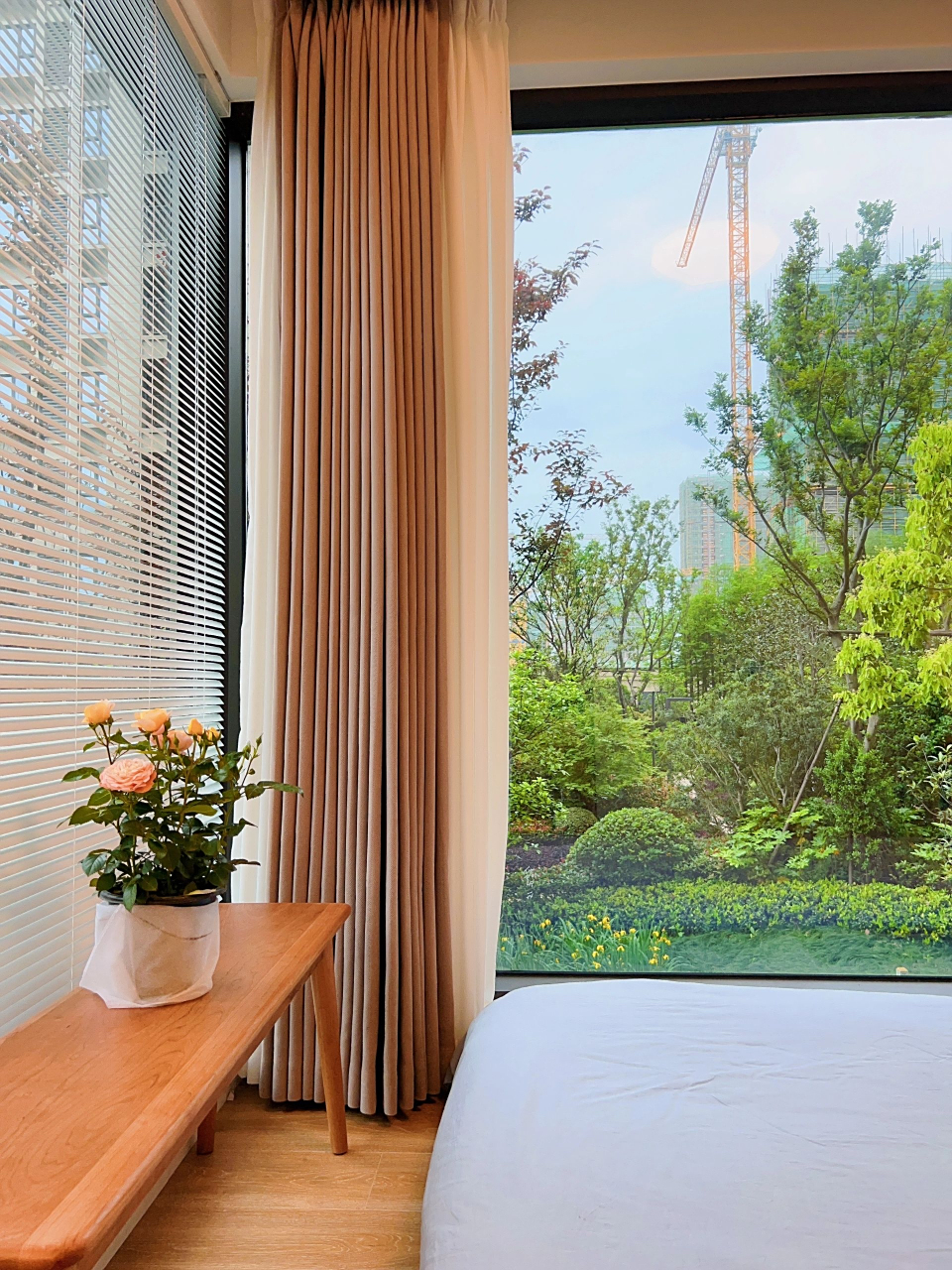 二楼卧室窗景,真的很治愈[赞同][赞同]#绽放计划# #百家号星火计划