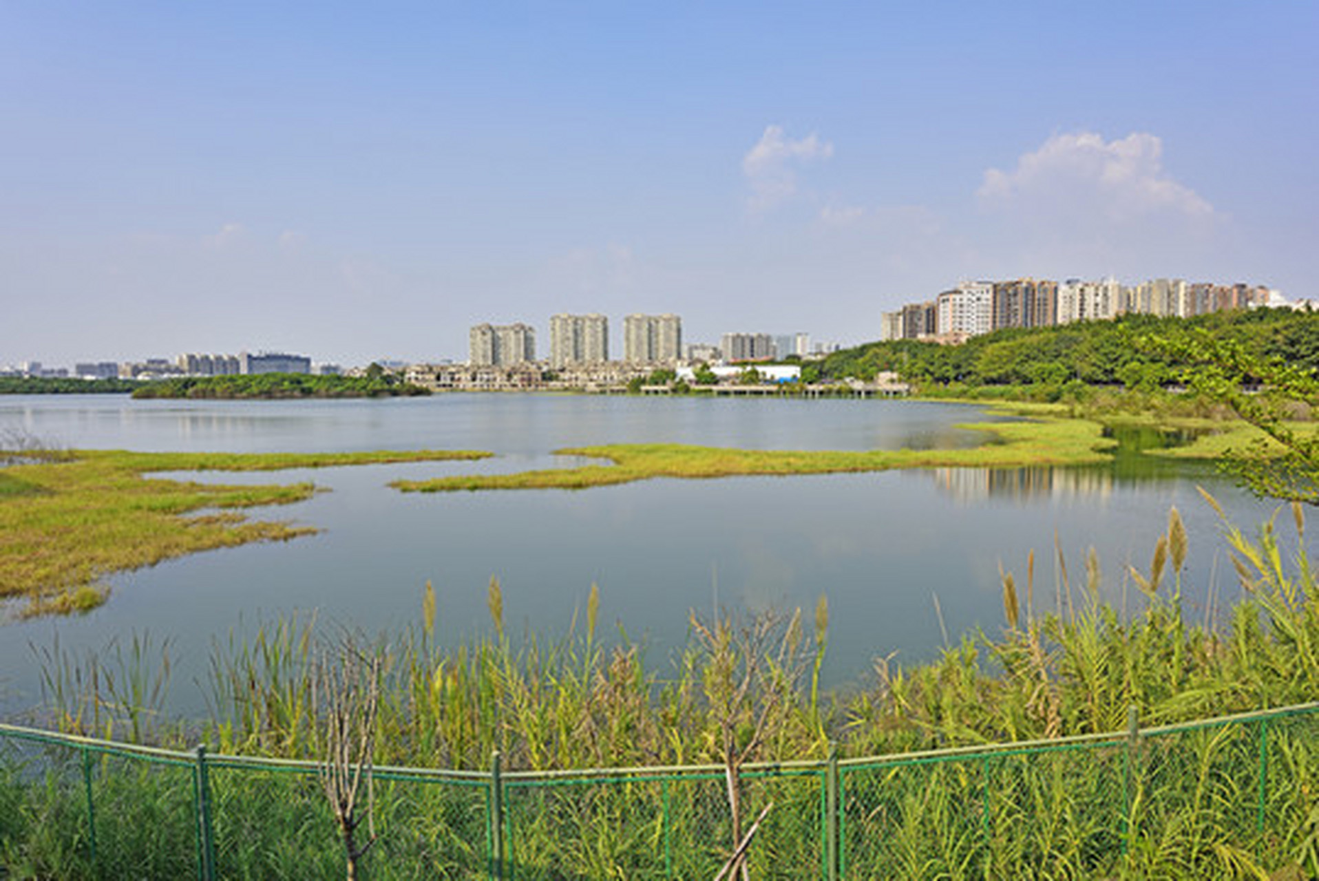 桥头立新湖公园图片