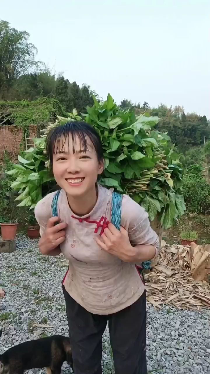 割猪草是多少人的童年时光