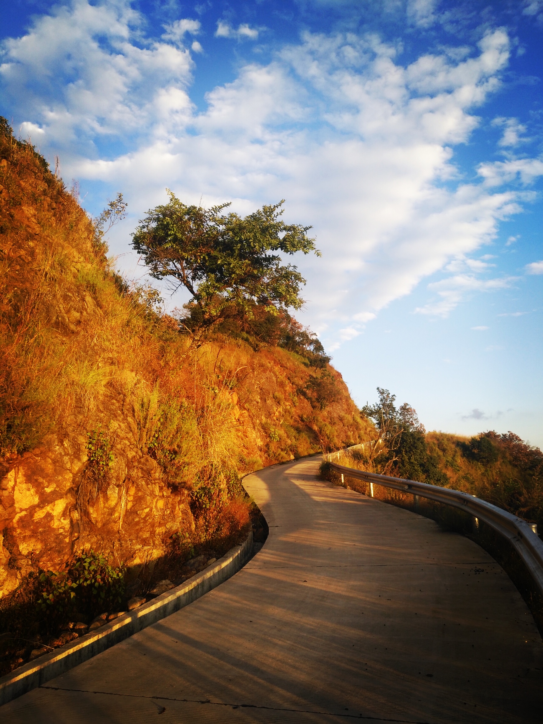 攀枝花公园的风景介绍图片