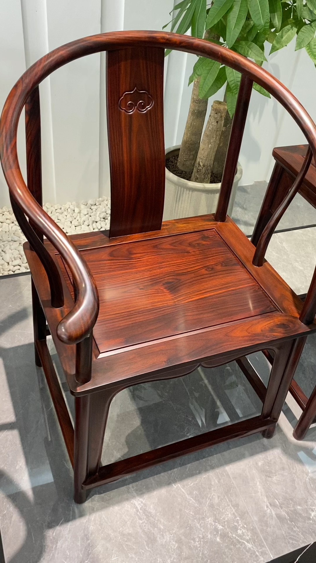 阔叶黄檀圈椅,展厅实物,有着清晰的纹理,花纹优美大方
