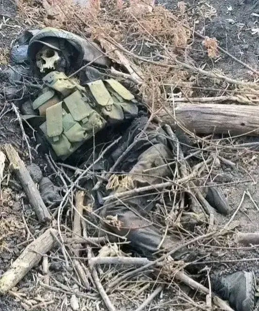 俄乌战争一年多,一幕令人震撼心灵的景象出现了.