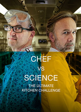 厨艺vs科学：终极厨房挑战彩