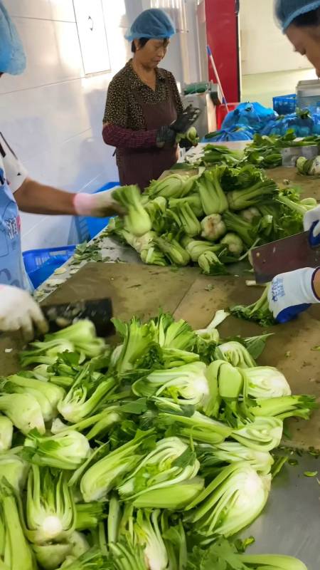 安徽芜湖千年古镇,非遗美食,荻港香菜!-度小视