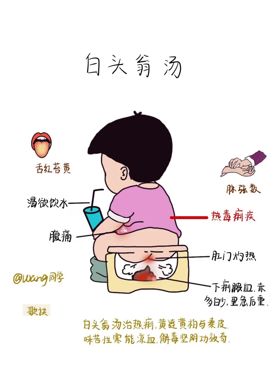 趣味方剂学～白头翁汤