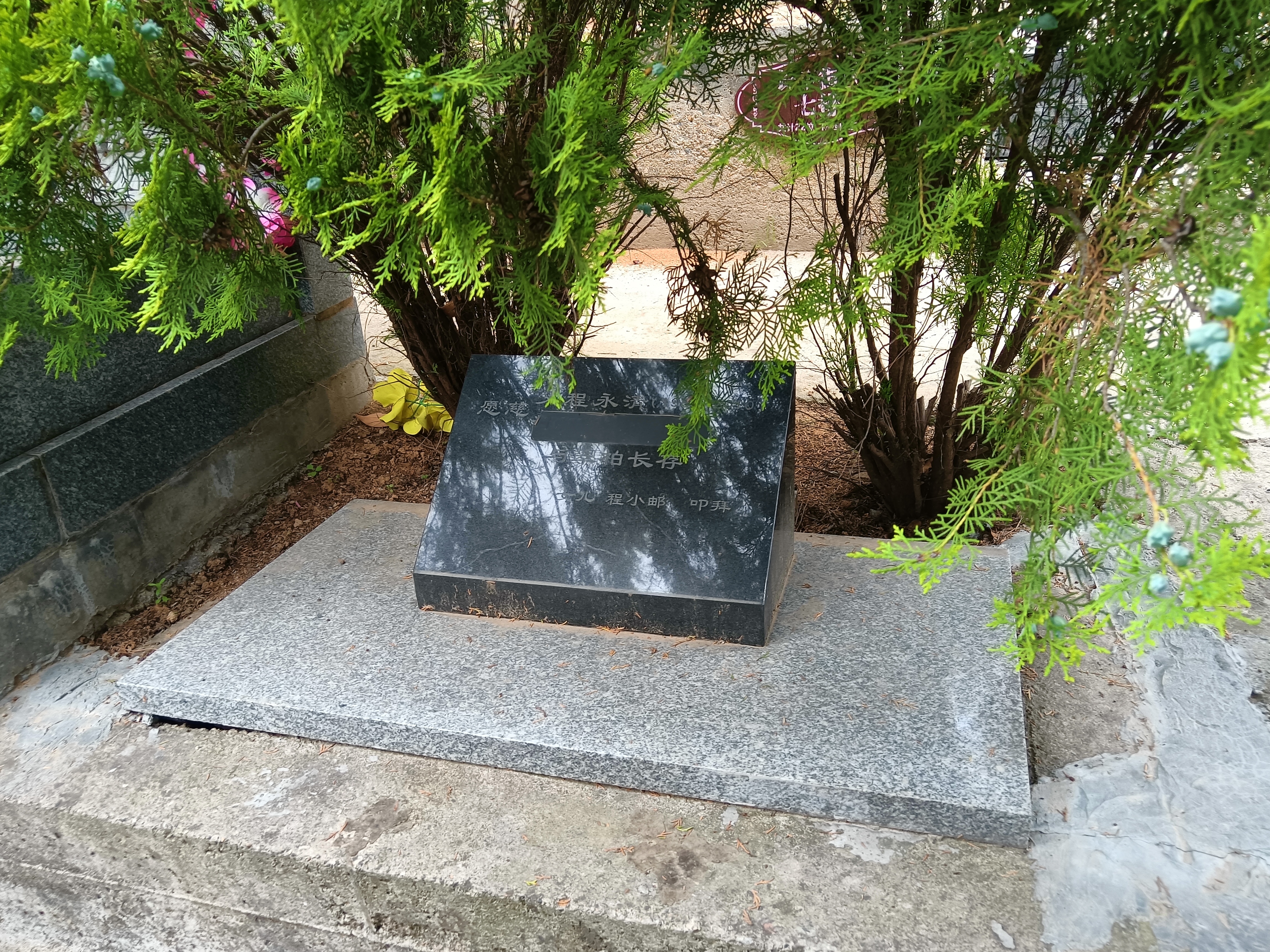 西安树葬公墓图片