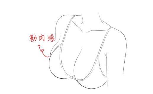 乳房简笔画图片