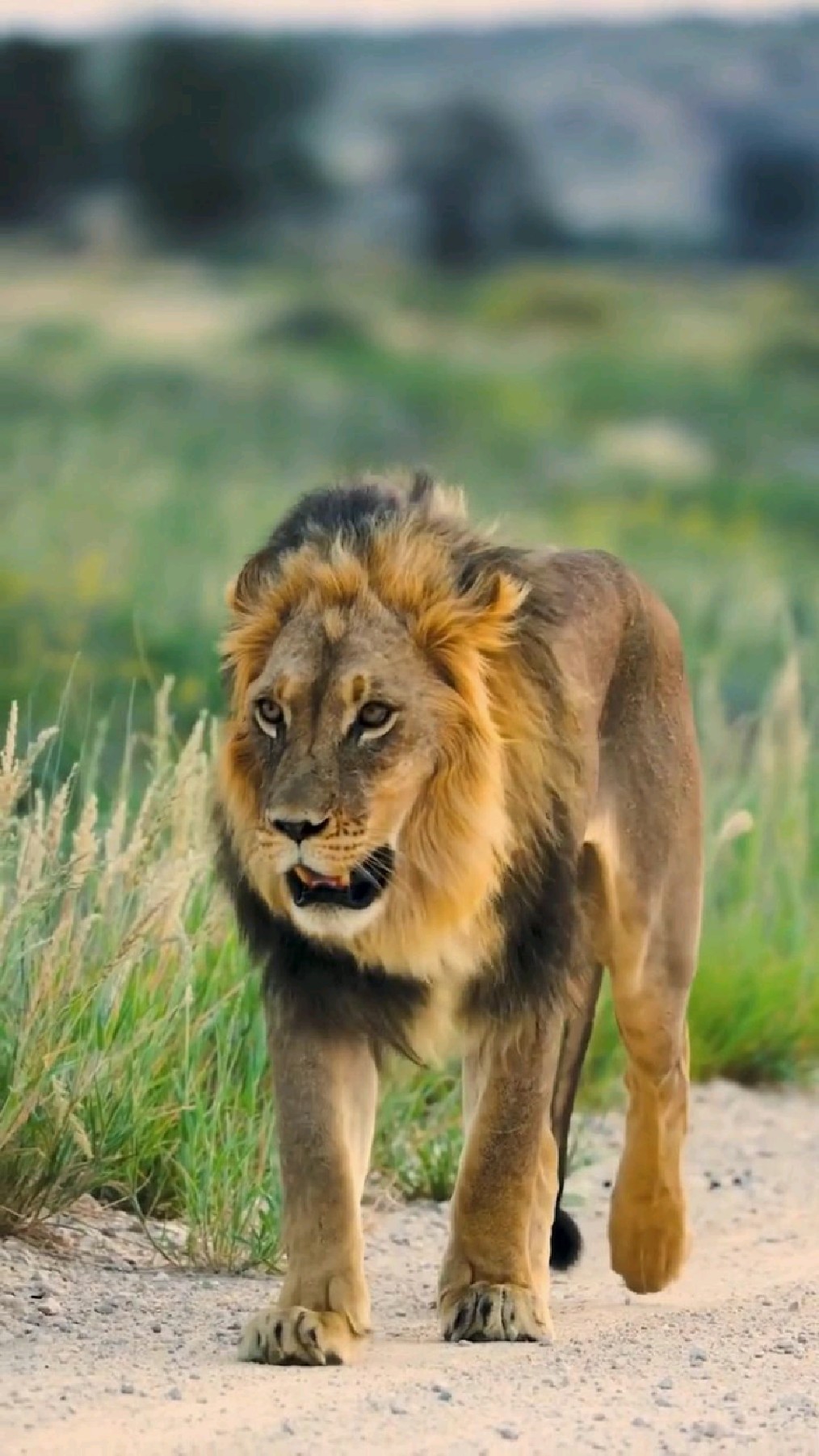 1014_1802竖版 竖屏