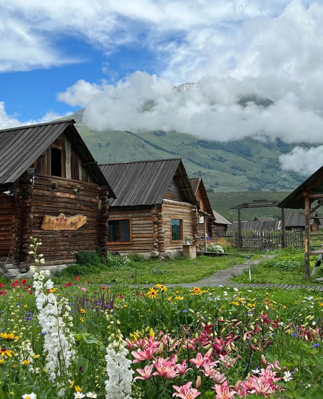 新疆的夏天,禾木,喀纳斯必定榜上有名!