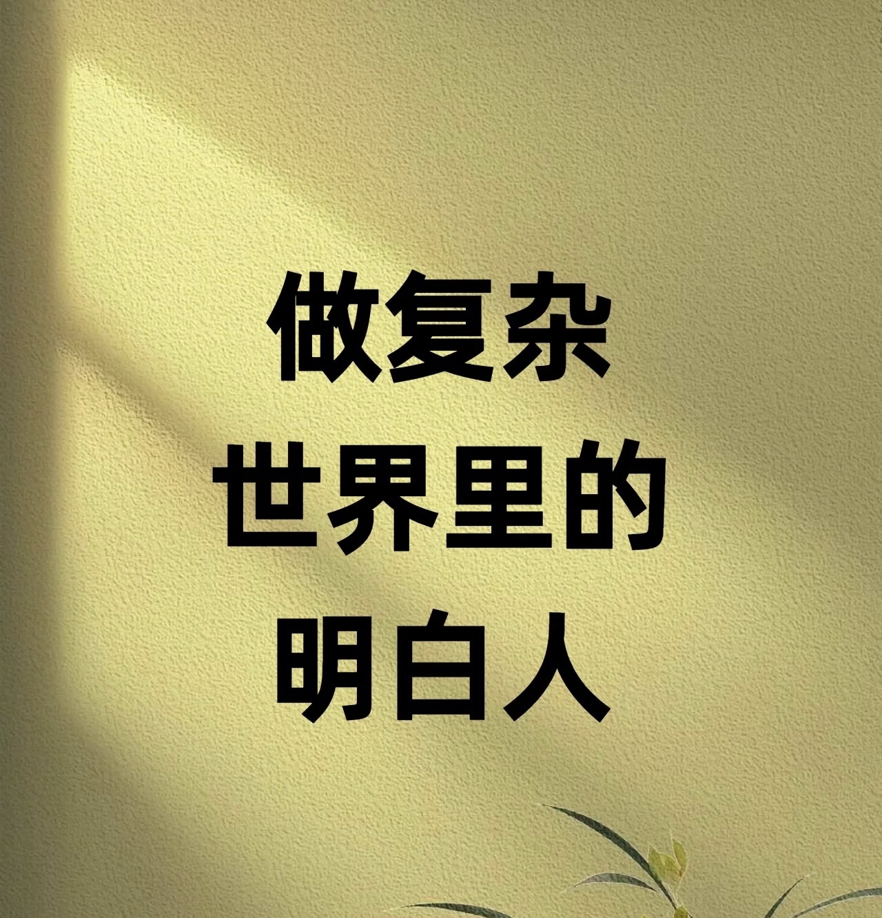 做复杂世界里的明白人