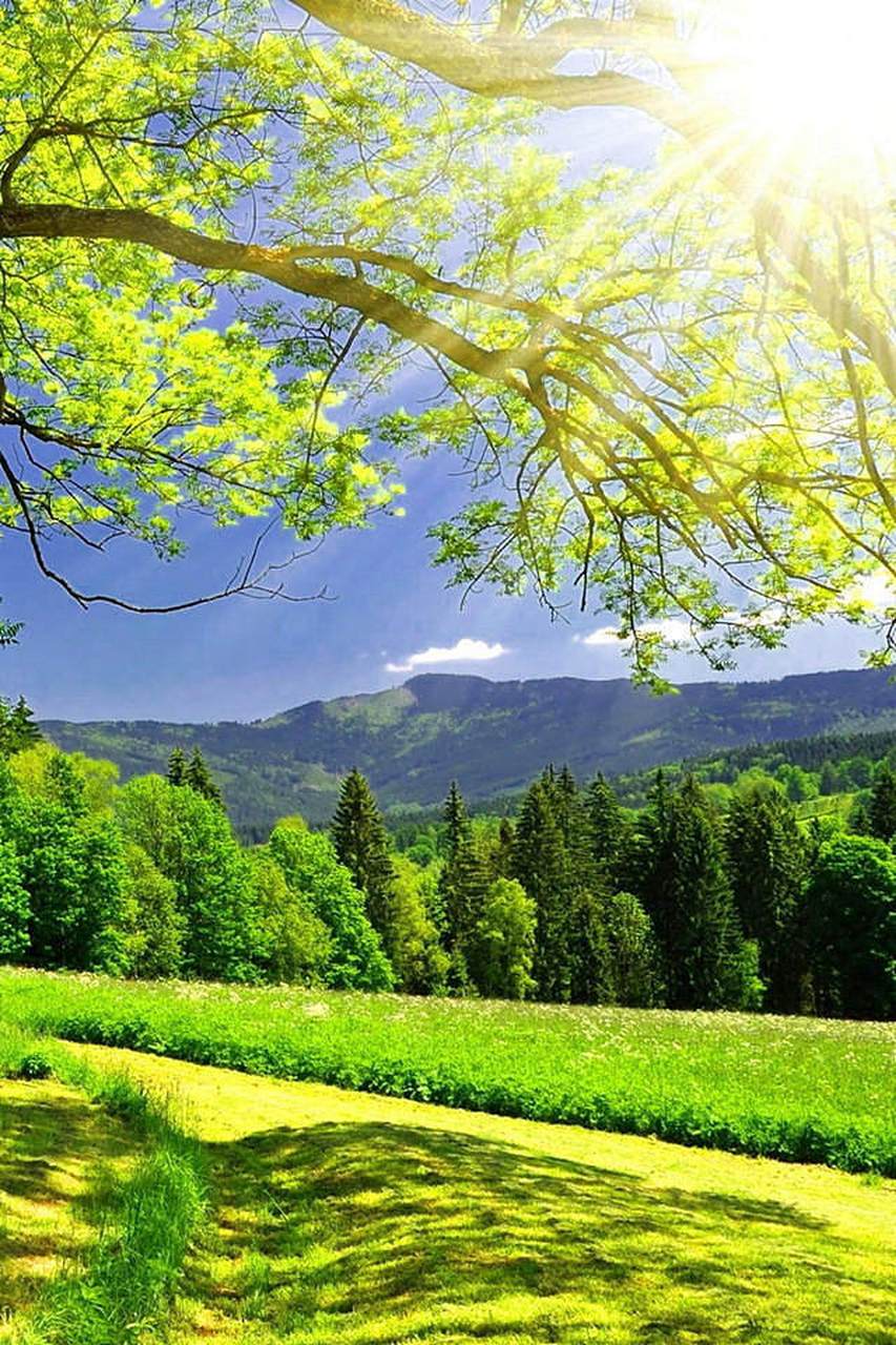 美景图片分享:#微信头像