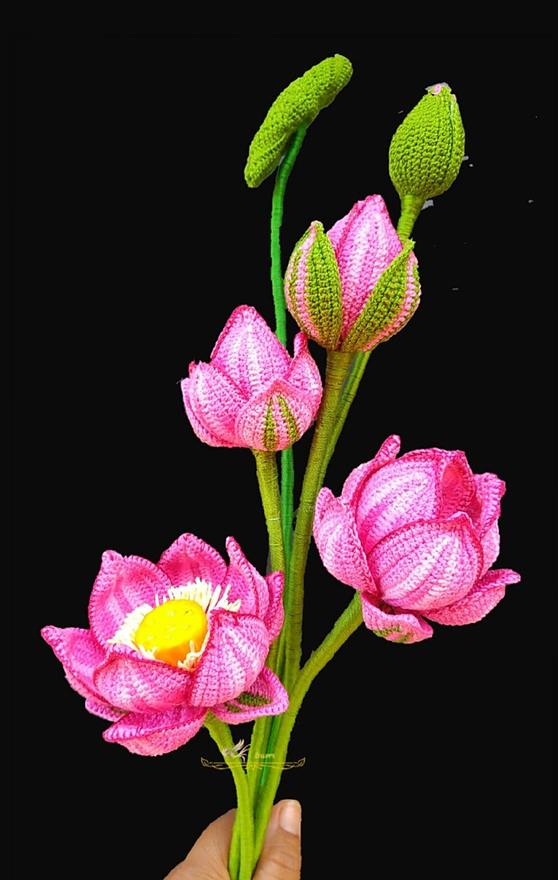 最近正逢荷花03盛开,附上钩针编织的荷花03莲花,供大家欣赏钩针