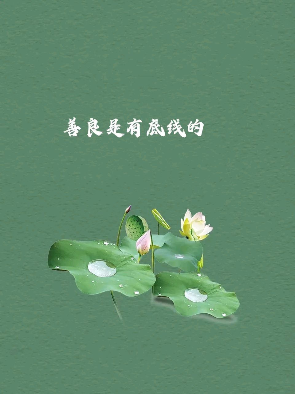 人活明白了,就不会惯着任何人.