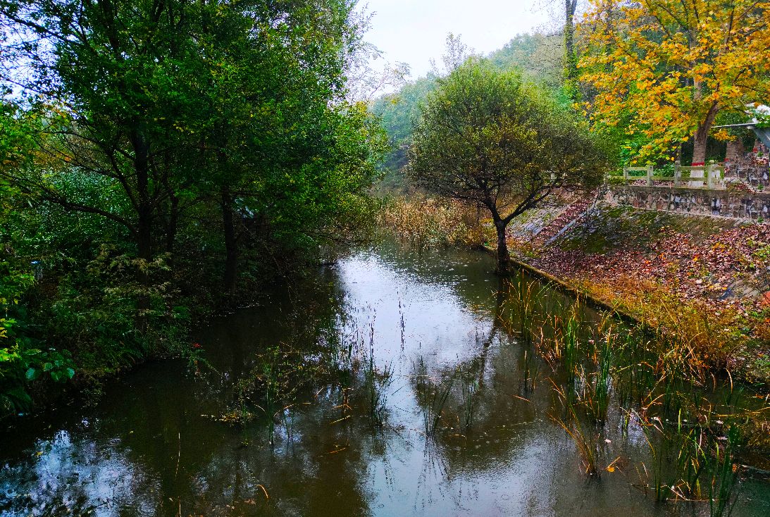 泌阳县铜山湖森林湿地公园掠影3