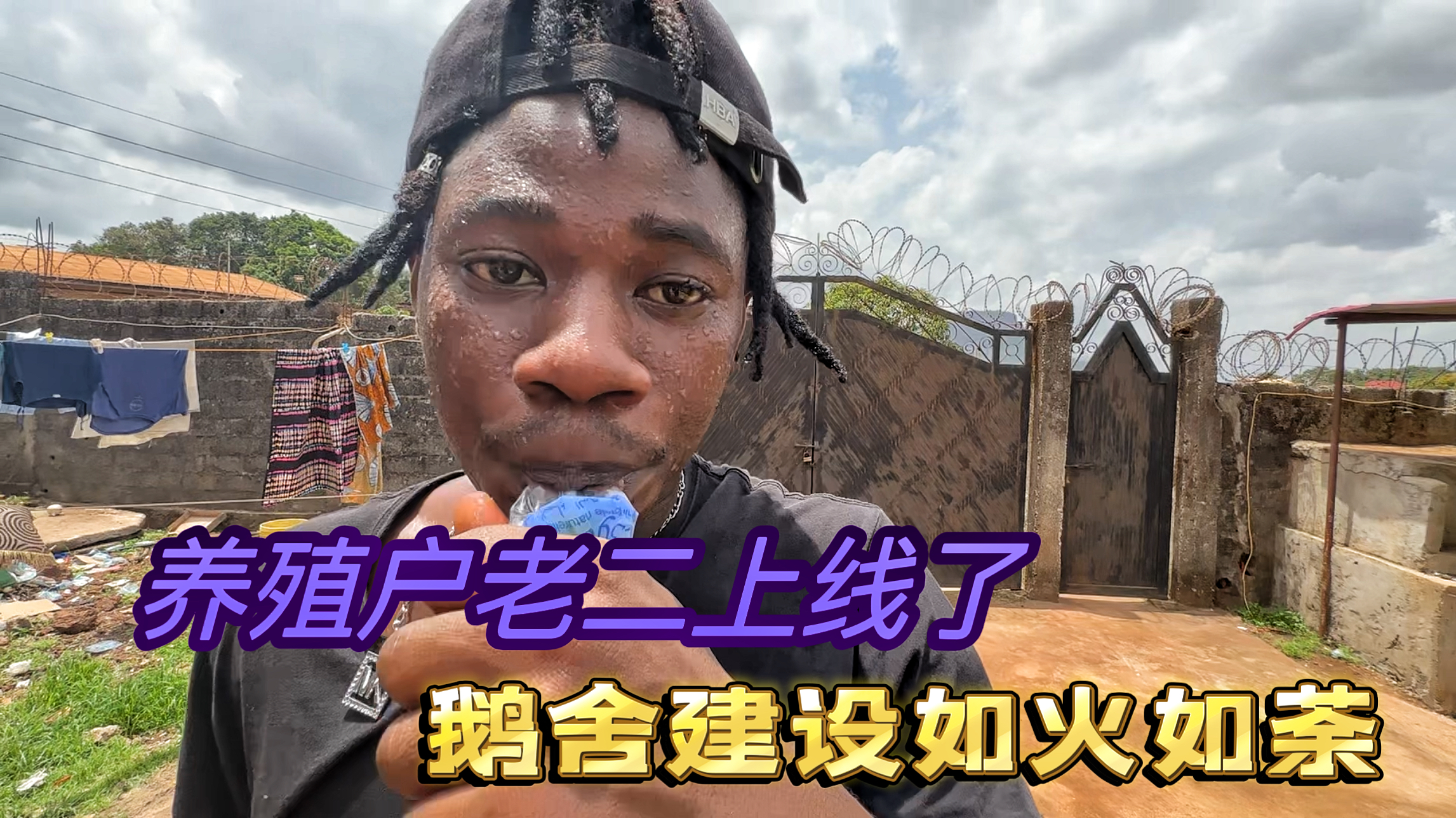 带着非洲小哥养大鹅，老二发财的机会来了，今天鹅舍开始建设