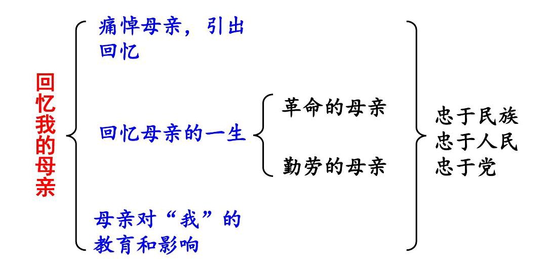 八年级语文上册第七课《回忆我的母亲》课文笔记,预习的好帮手