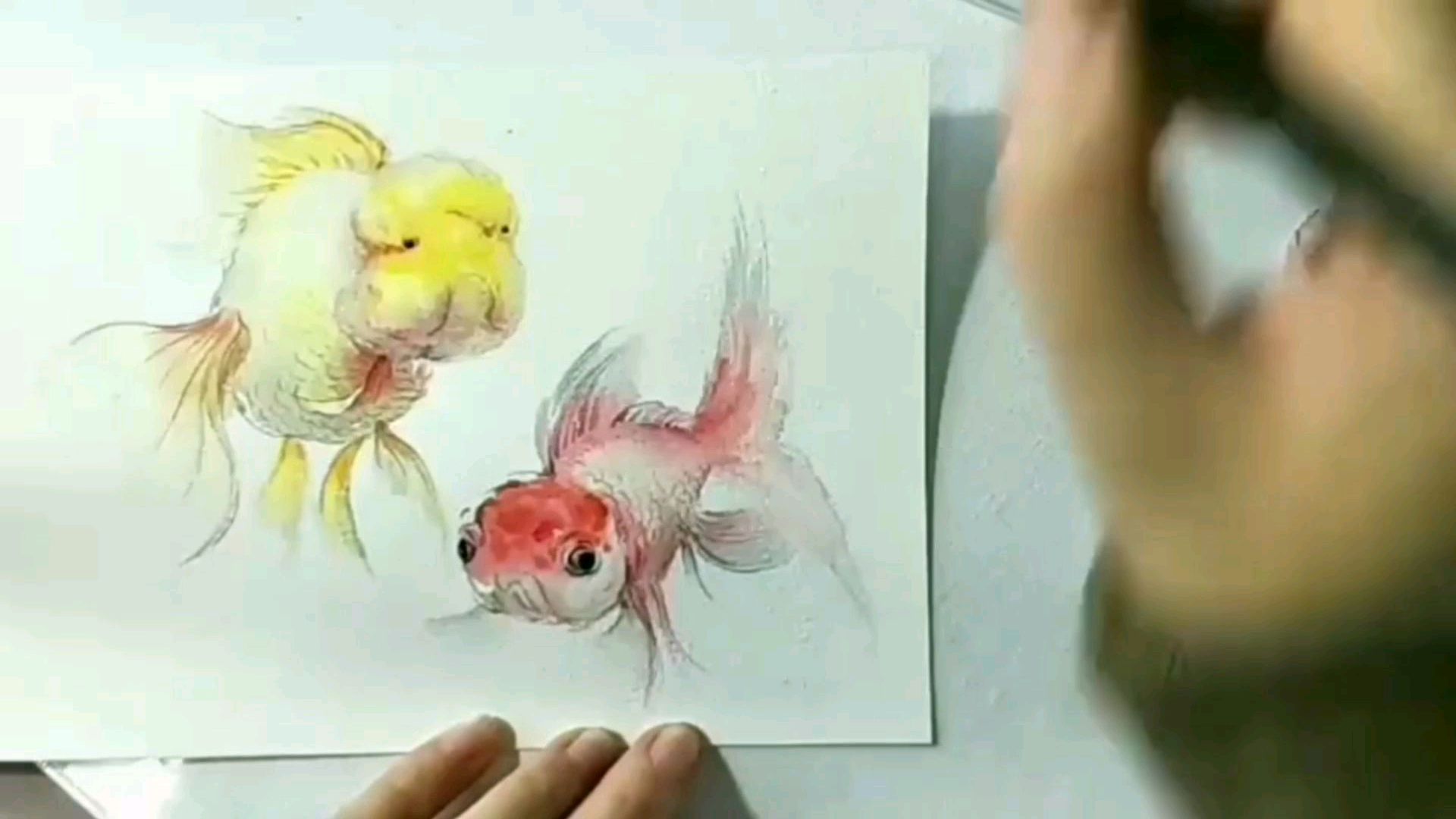 我是小金鱼,游来游过去,超漂亮的水彩小品