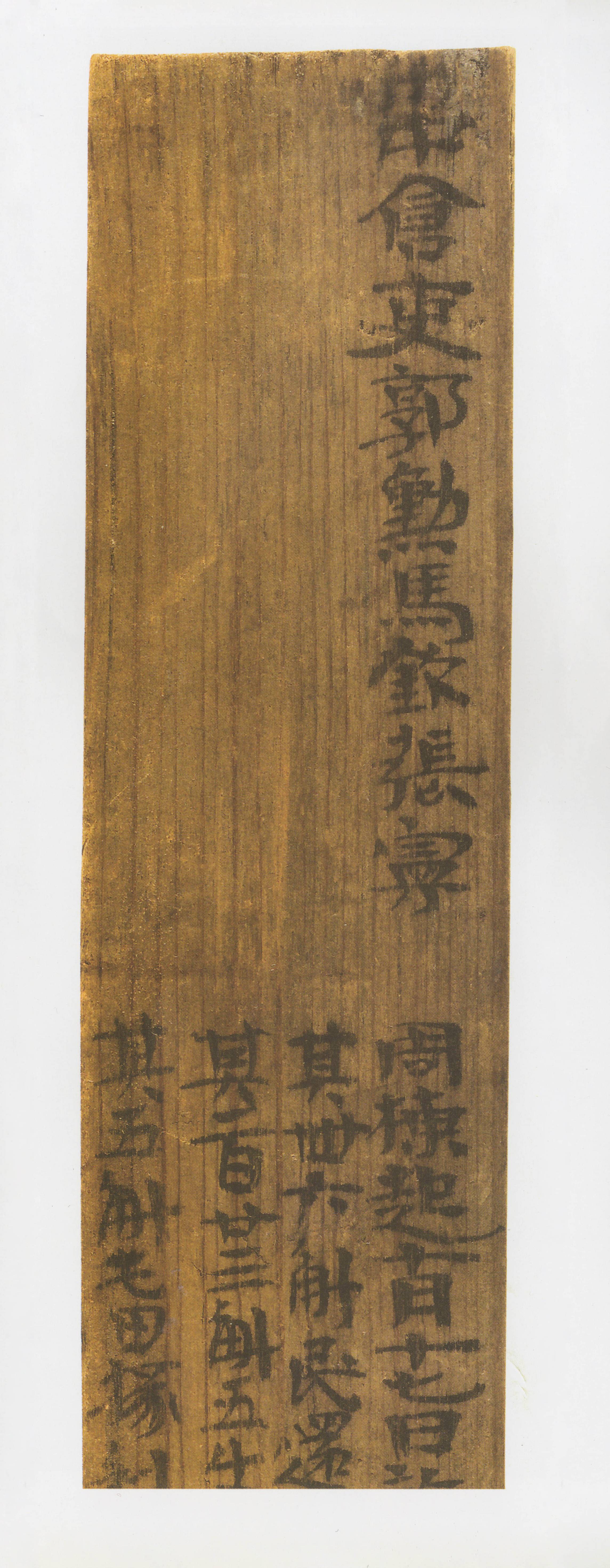 两汉至三国魏晋时期,长沙走马楼三国吴简二:  著名考古学家俞伟超先生