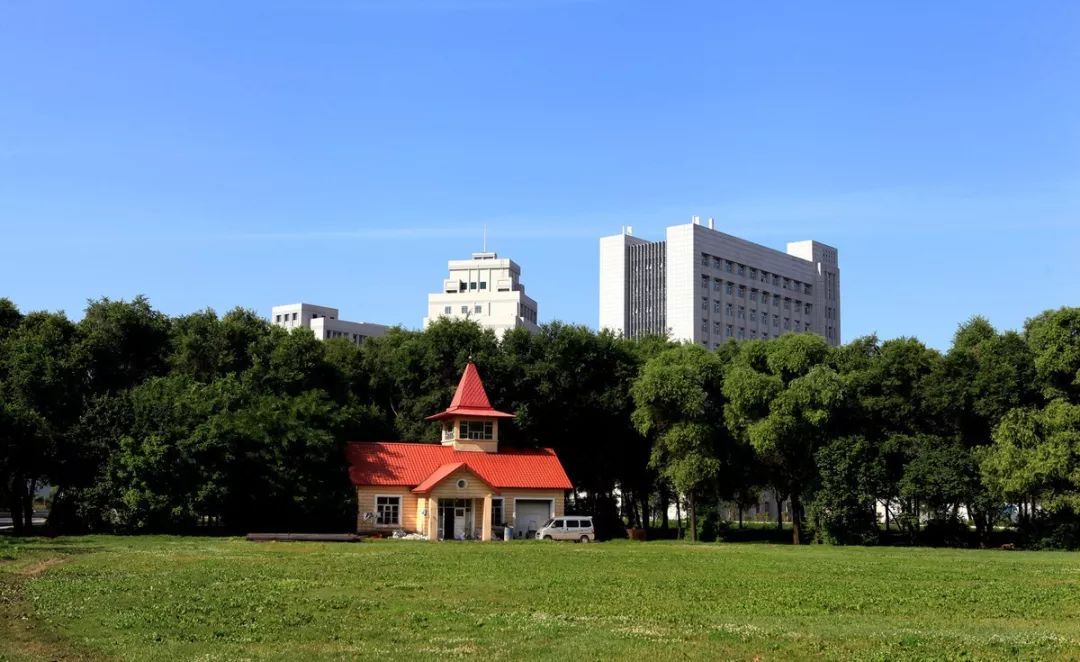 東北林業大學的計算機專業