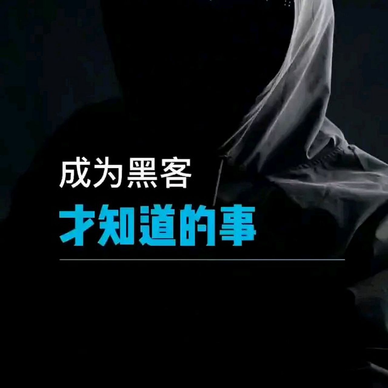 关于白帽黑帽灰帽SEO优化万象的信息