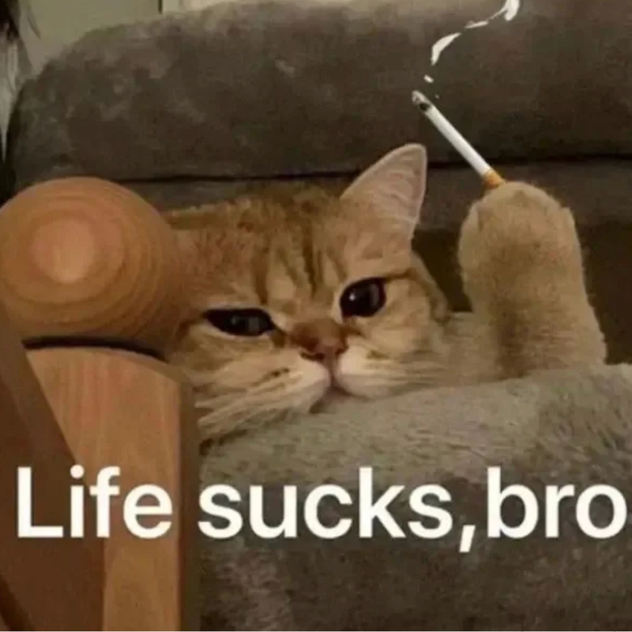 life sucks #表情包