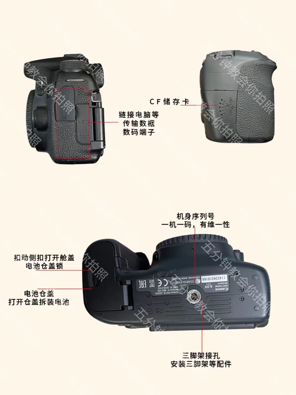 佳能eos70d按键图解图片