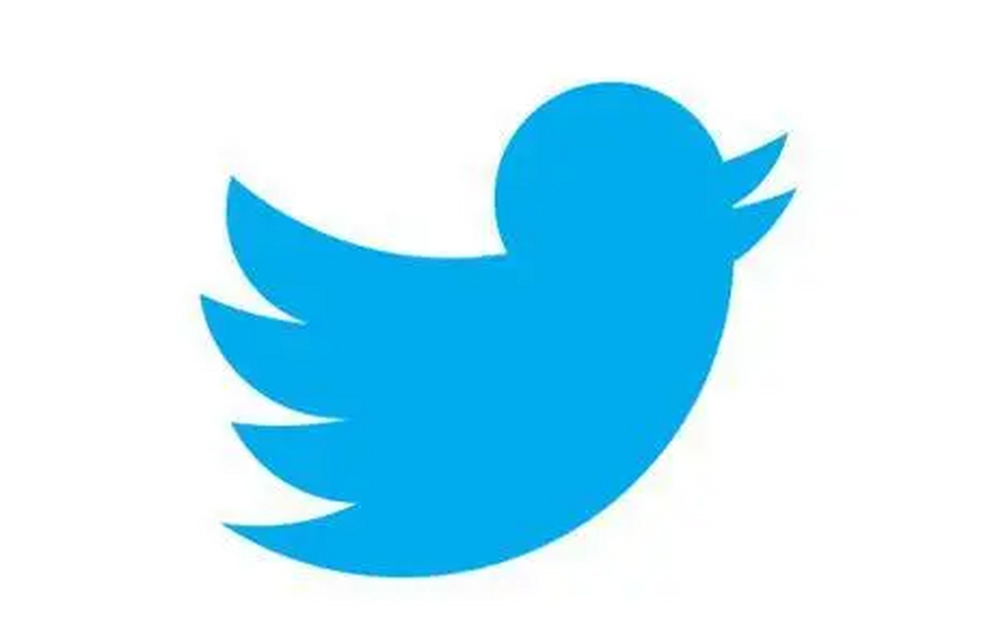 近日,马斯克在推特上预告说,小蓝鸟将要飞走了,要替换推特我们熟知的