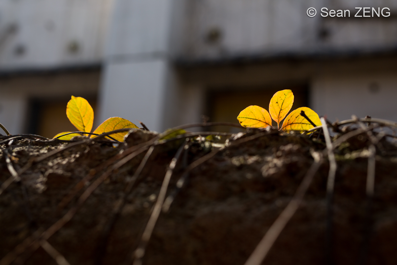 光阴不负——当机立断