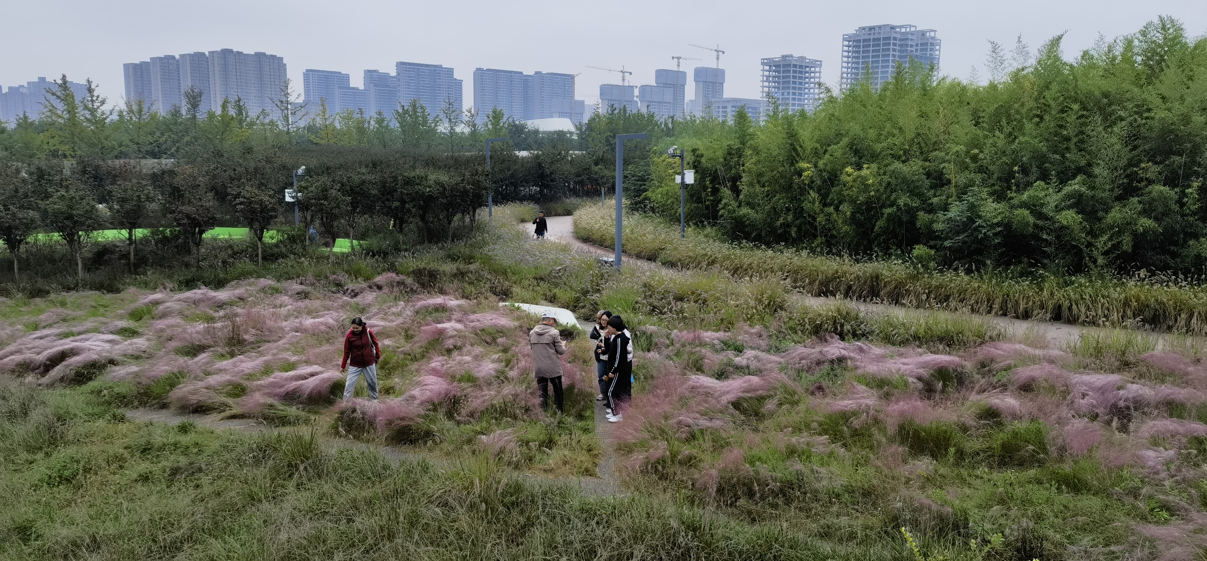 雁南公园秋日美景