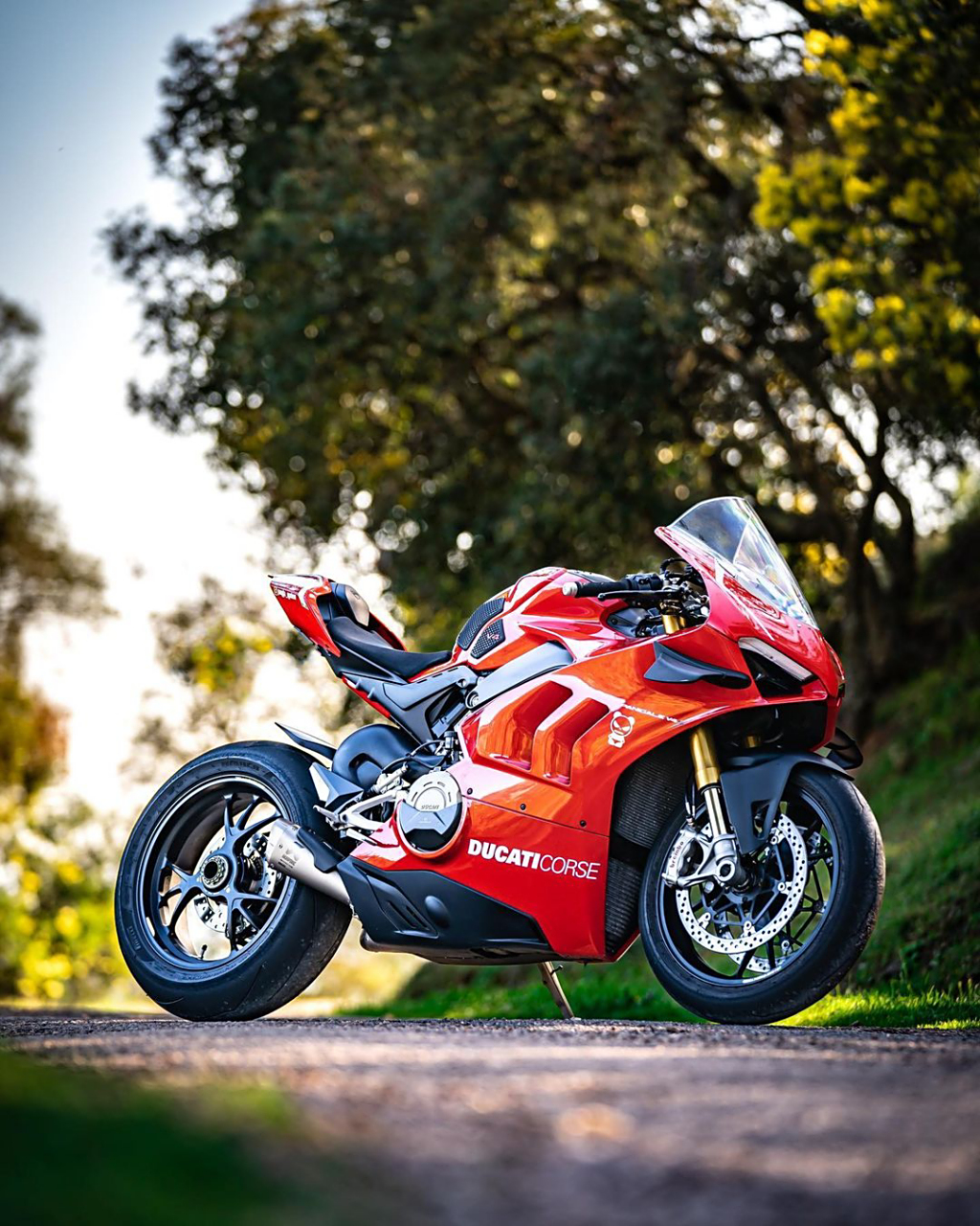 杜卡迪跑车#摩托车