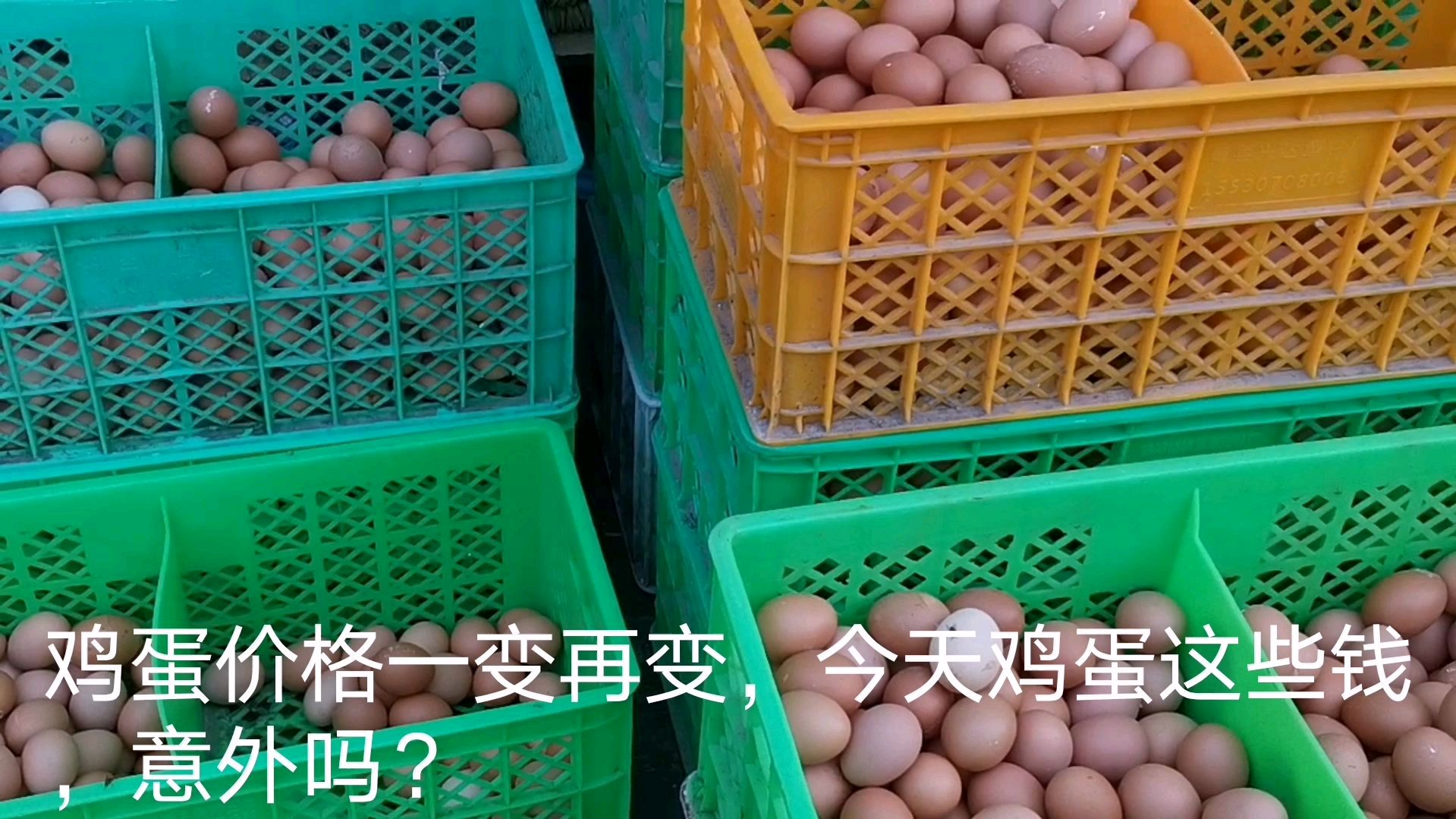 北京周边今天鸡蛋多少钱?网友:鸡蛋价格一天一变