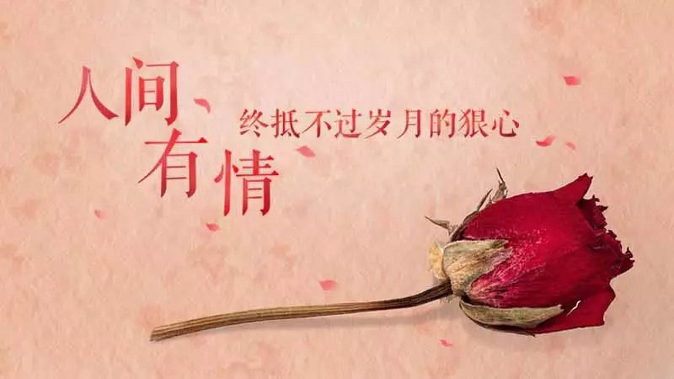 我不喜欢勾心斗角,不喜欢被算计,不喜欢假假的友情.