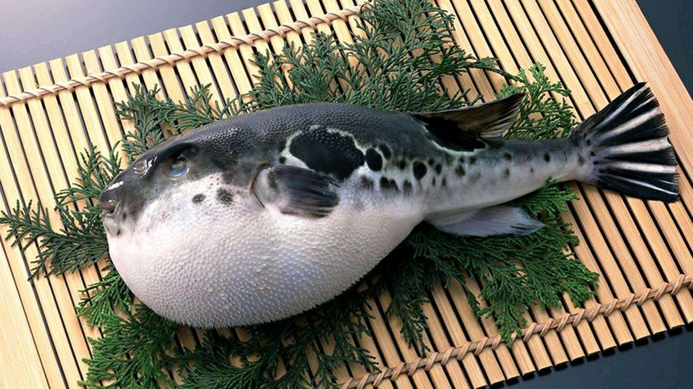 在河中有一种生物,叫"豚",有一天,在游的时候撞到了一根柱子,他并没有