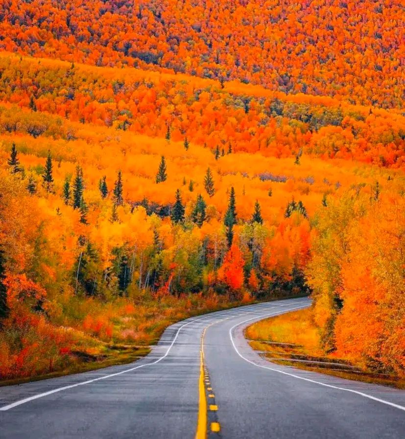 关于秋的图片,人间仙境的秋,是那么的如痴如迷,让人流连忘返