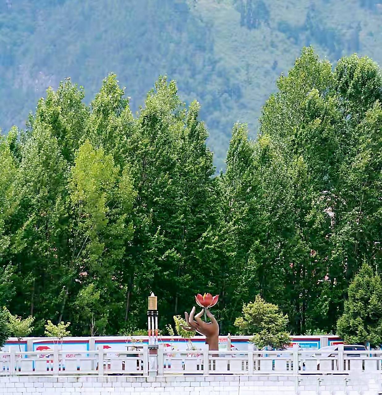 西藏林芝八一镇街拍.