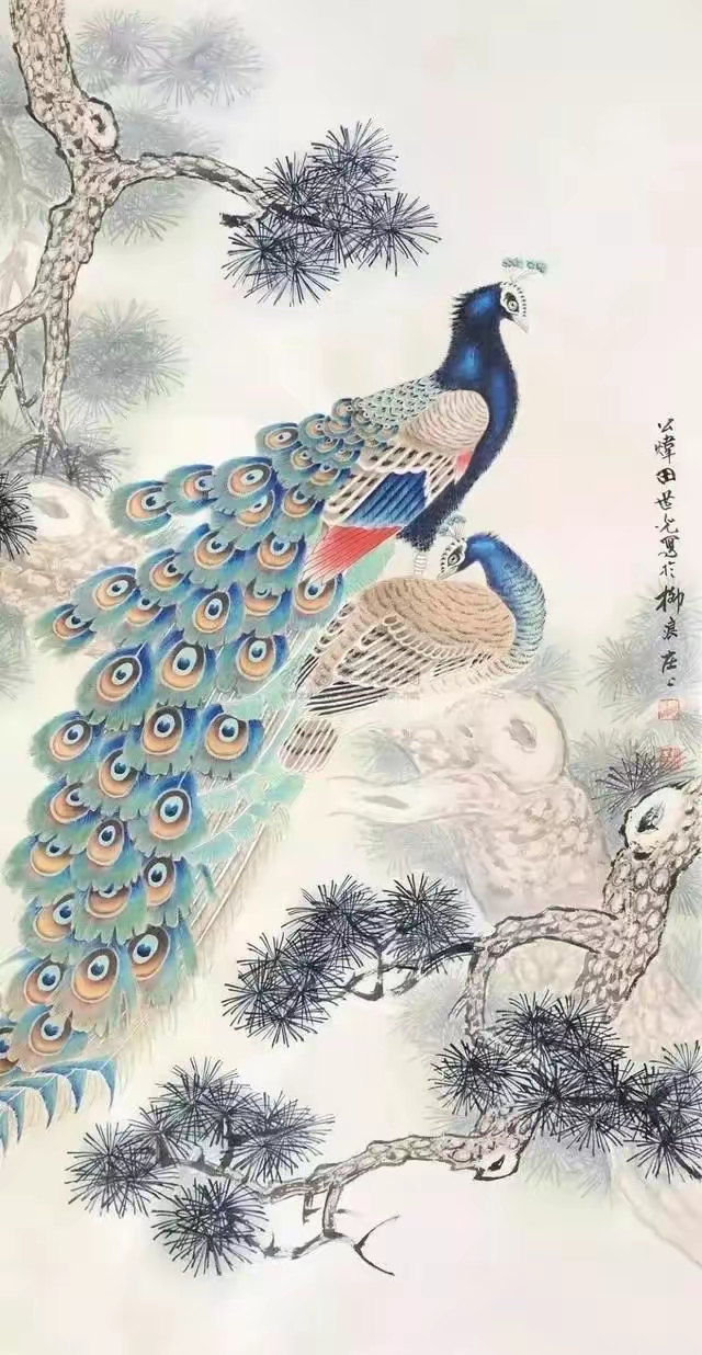 田世光画孔雀