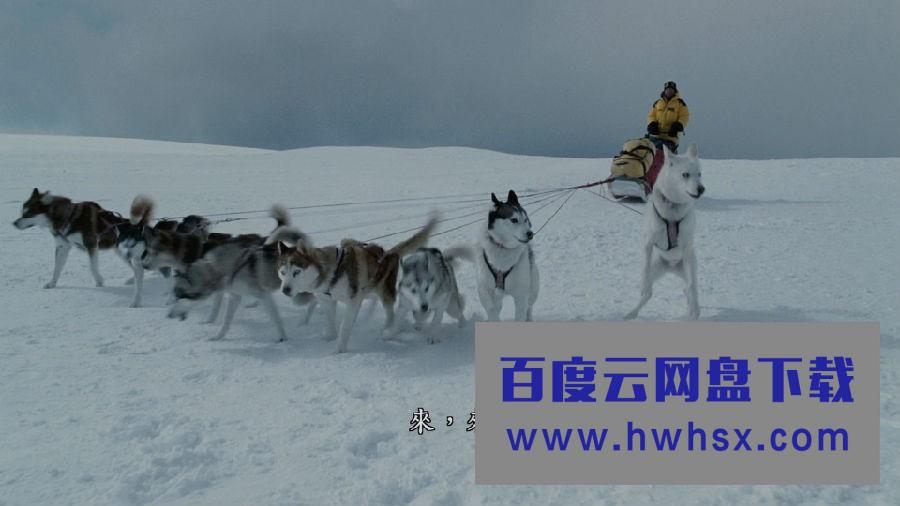 《南极大冒险》4k|1080p高清百度网盘