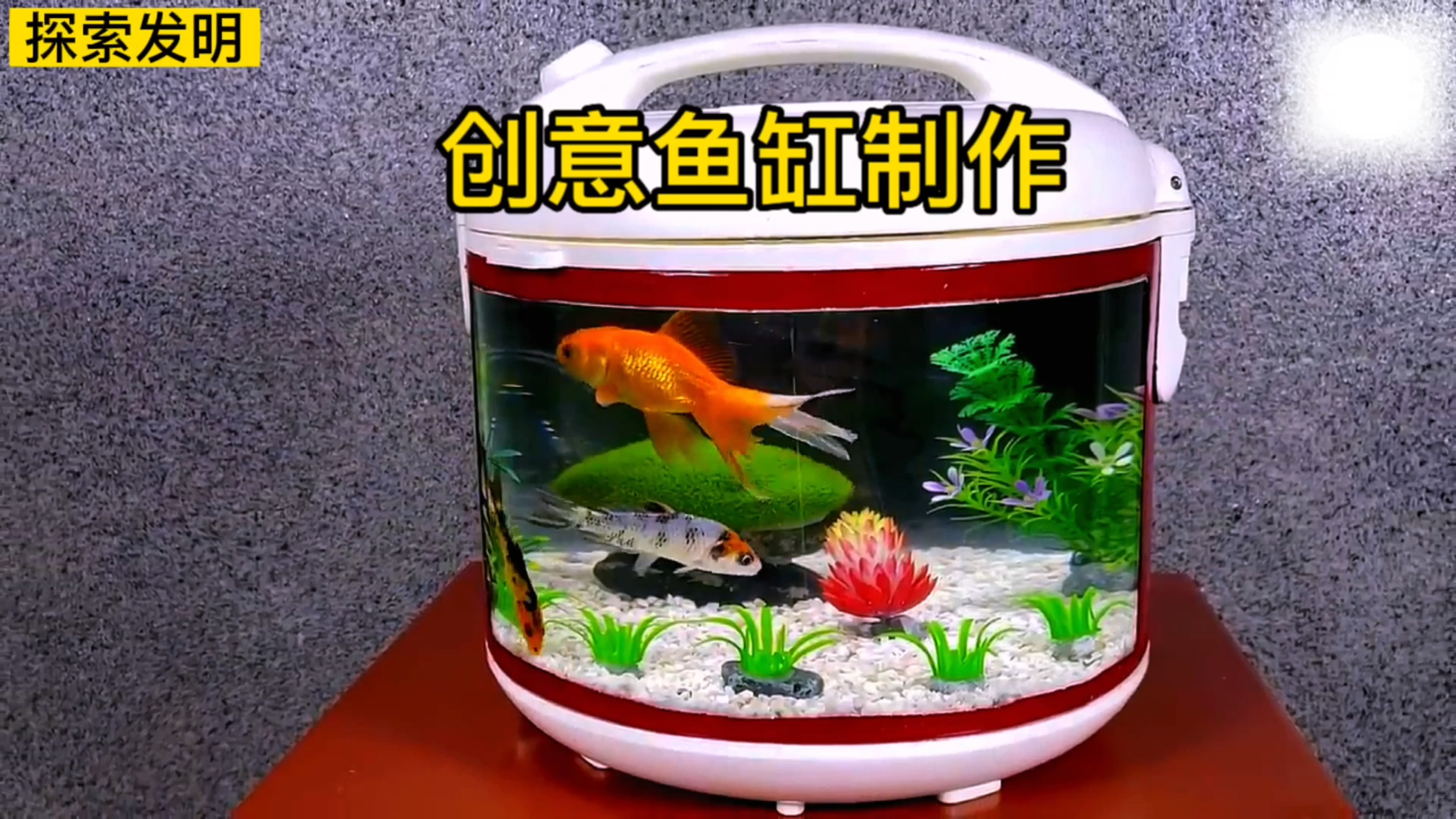 小伙利用废旧的电饭煲竟然制作出一款精美的鱼缸,真是高手在民间